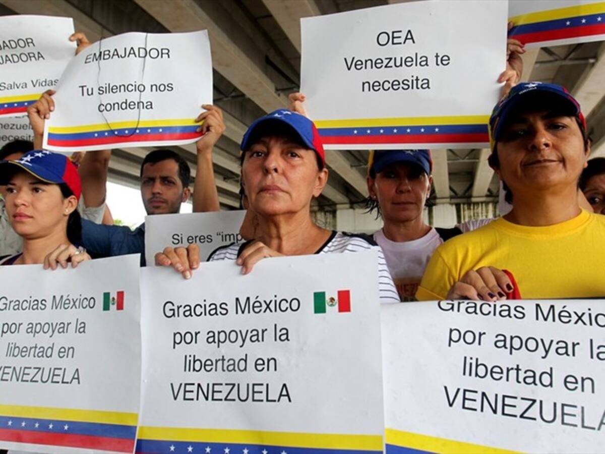 "Estamos comprometidos en una resolución que alivie a Venezuela" Lydia Barraza