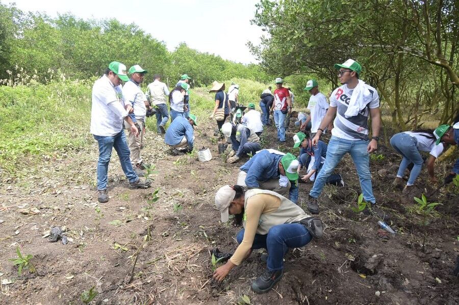 Alcaldía de Cartagena