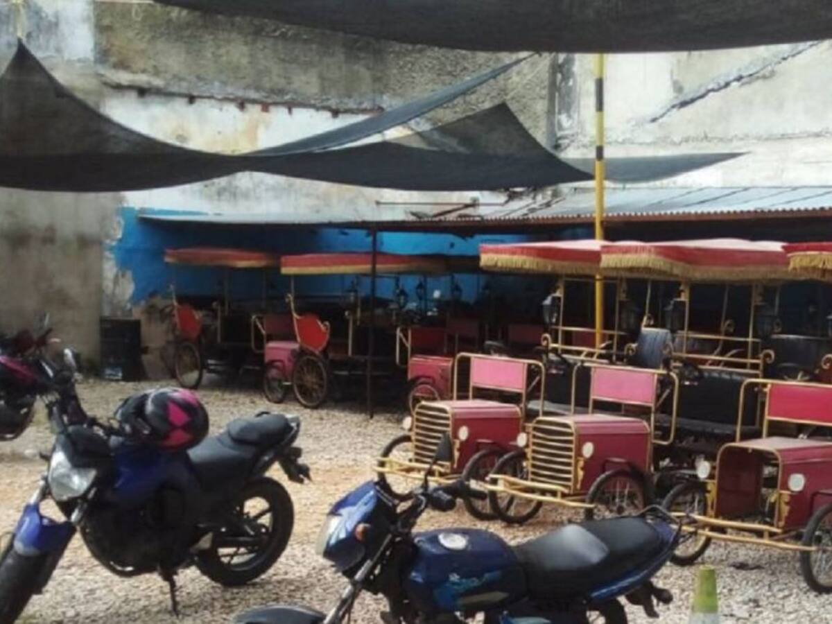 Juez negó acción de cumplimiento que buscaba inmovilizar coches eléctricos