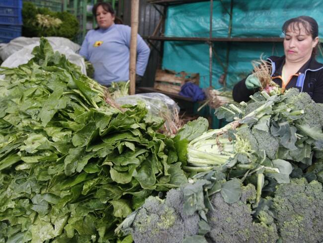Hortalizas y verduras afectadas por el clima