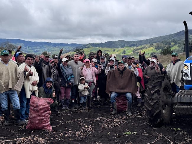 Los productores de papa y cebolla de Boyacá aseguran que los precios de los insumos y fertilizantes ha afectado su producción / Foto: Alcaldía de Samacá.