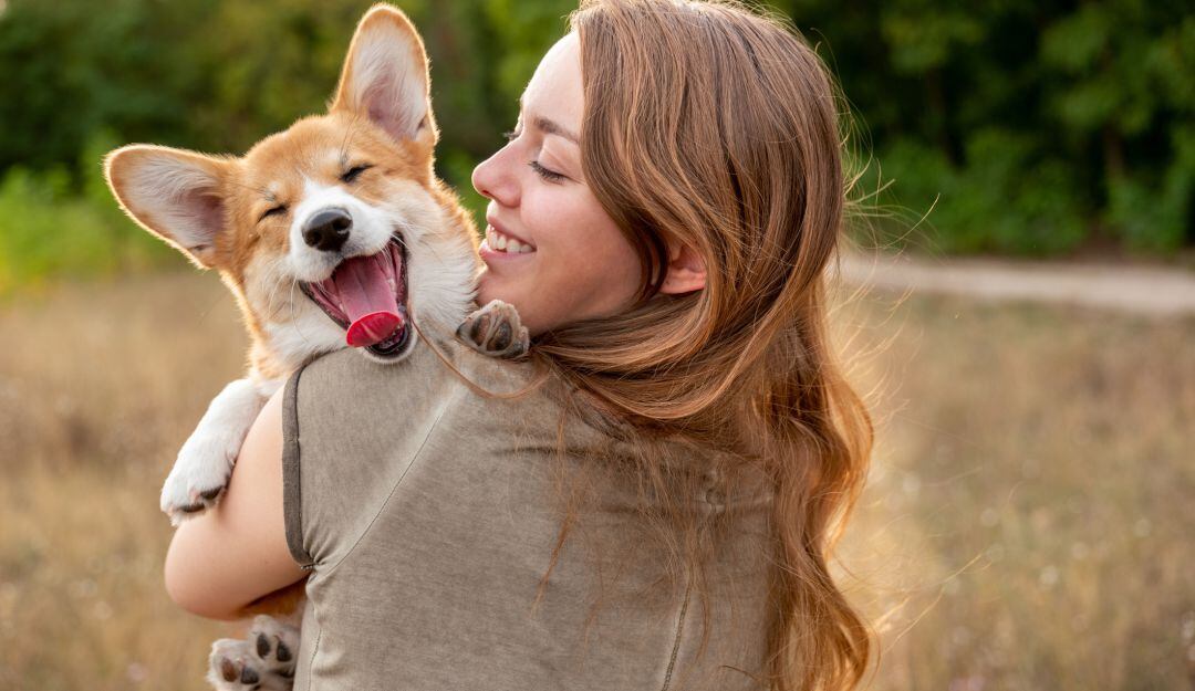 Imagen de referencia