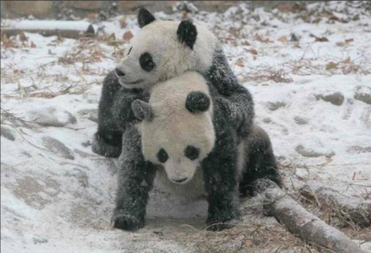 Foto:http://www.huffingtonpost.es/