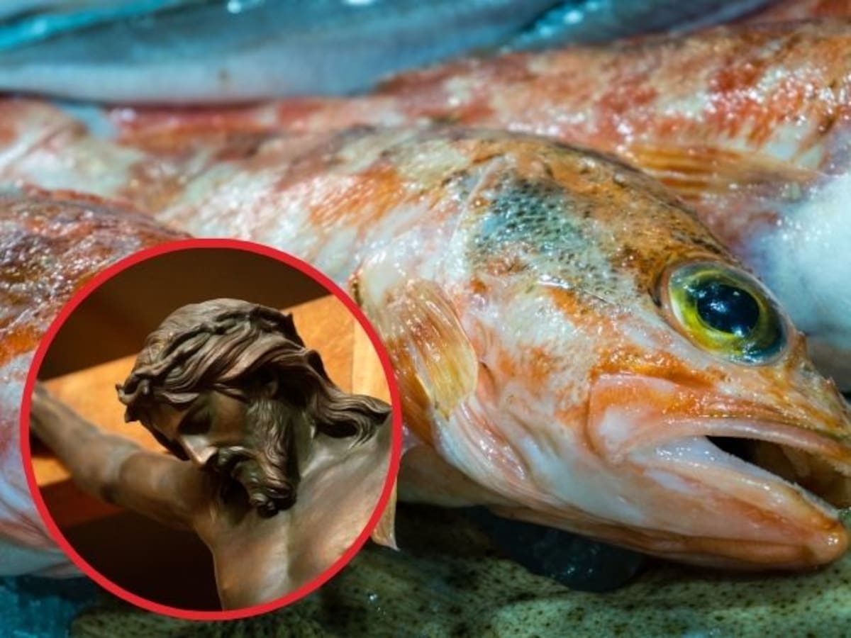 Compra de pescado en Semana Santa: estas son las recomendaciones de la Alcaldía de Bogotá