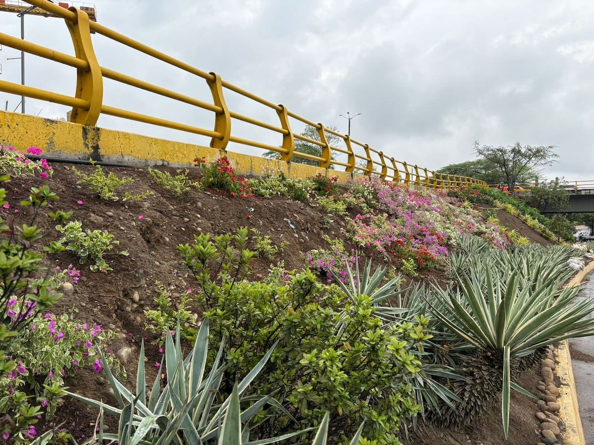 Corpornor inicia recuperación de zonas verdes en Norte de Santander