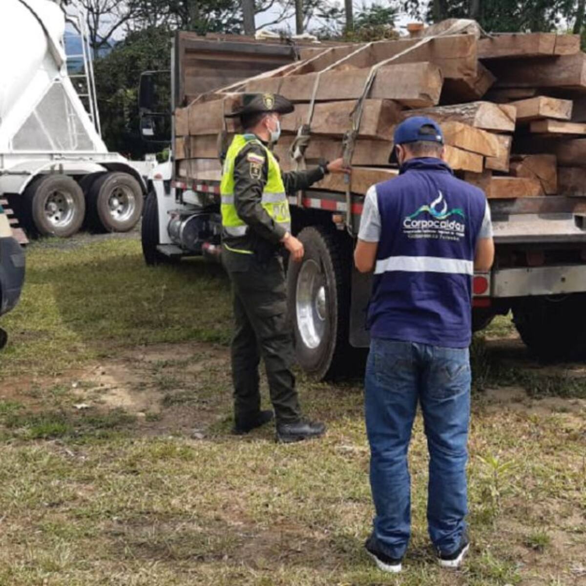 Decomisada madera en Caldas por explotación ilegal