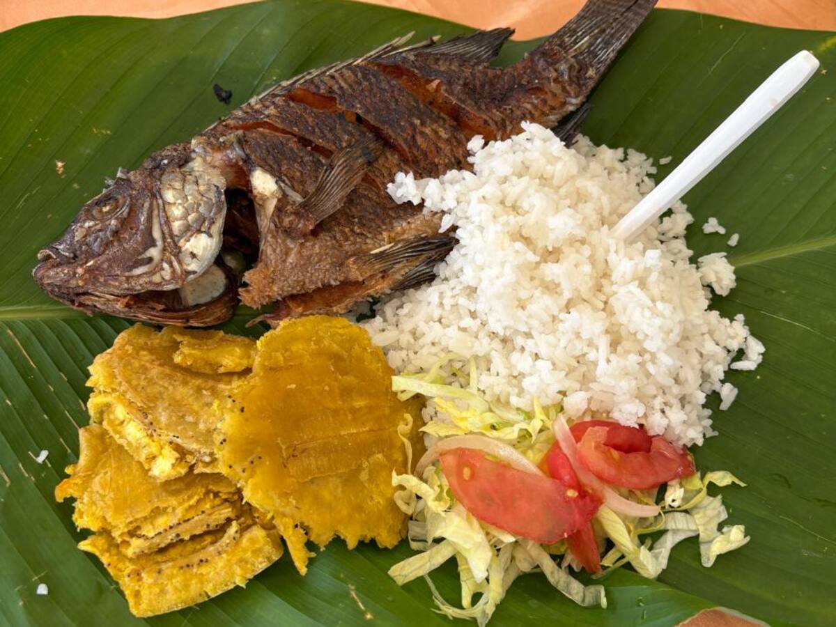Festival del Pescado y Mariscos se muda a El Parquecito del Cairo en Cartagena: fechas y precios