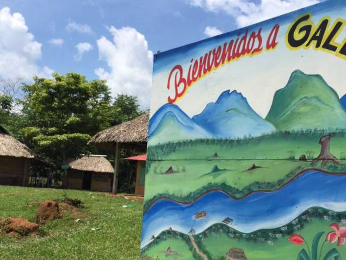 En Tierralta, la vereda Gallo le canta a la paz