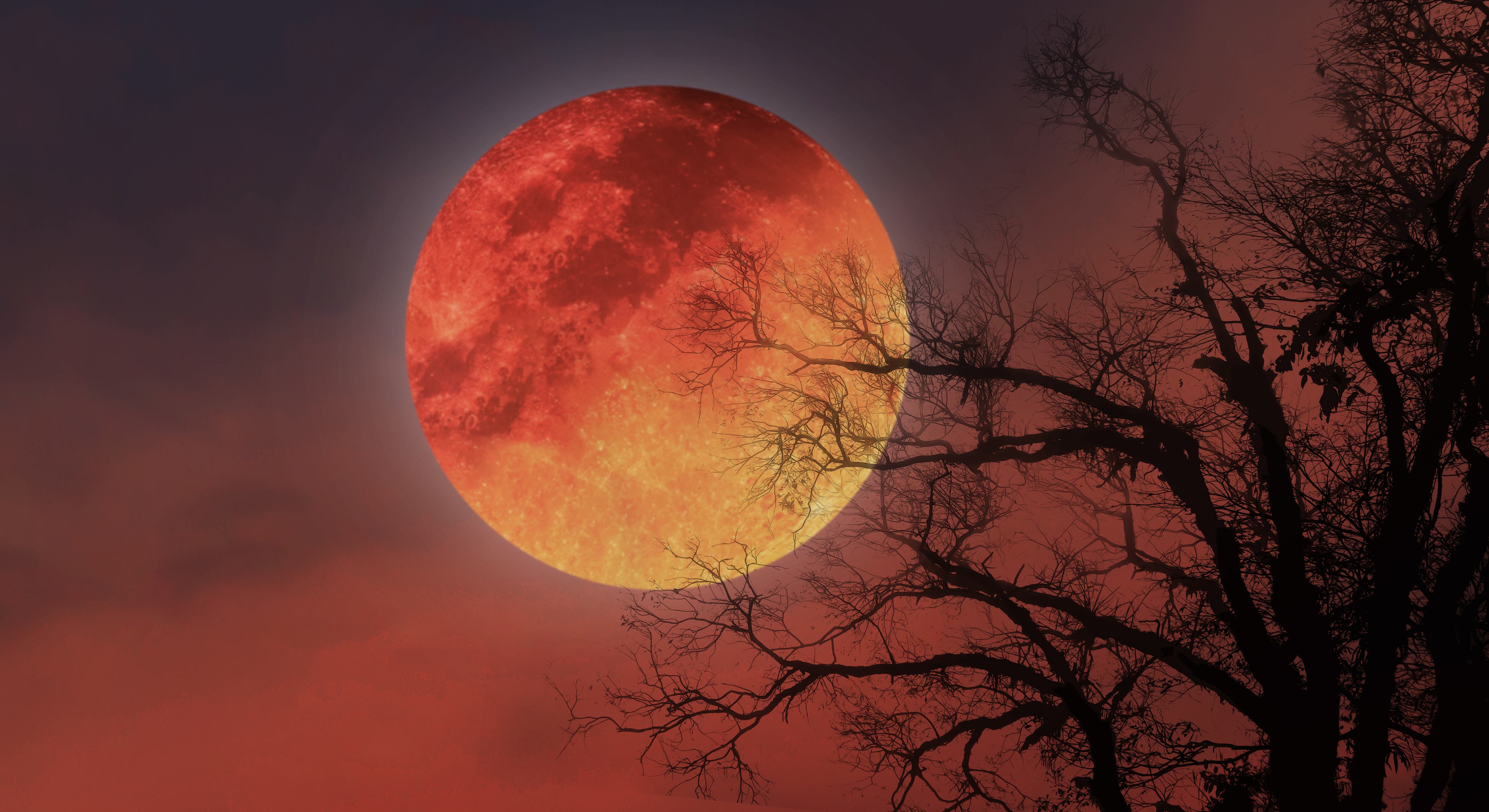 Eclipse lunar marzo 2025. Imagen vía Getty Images