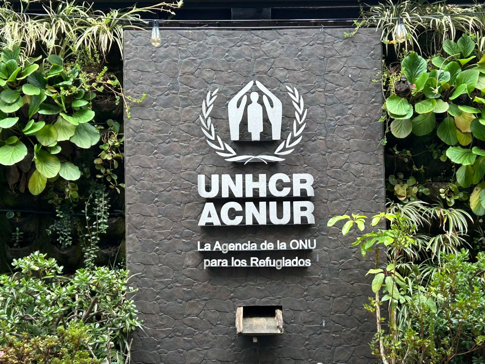 La Agencia de la ONU para los Refugiados, ACNUR en Colombia
