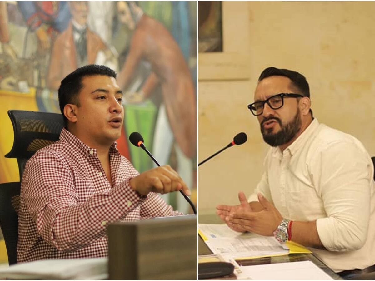 De mariposas multicolores y de locos: así se tratan los concejales de Ibagué