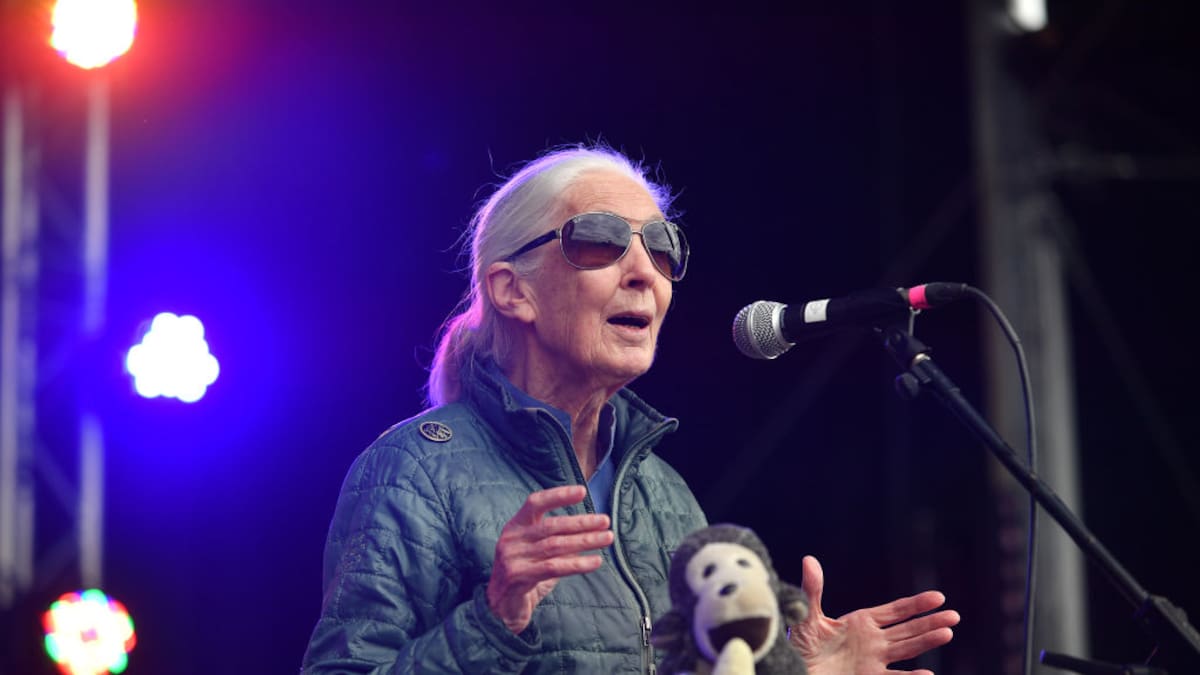 Roots & Shoots, programa de Jane Goodall que busca impulsar el cuidado del medioambiente