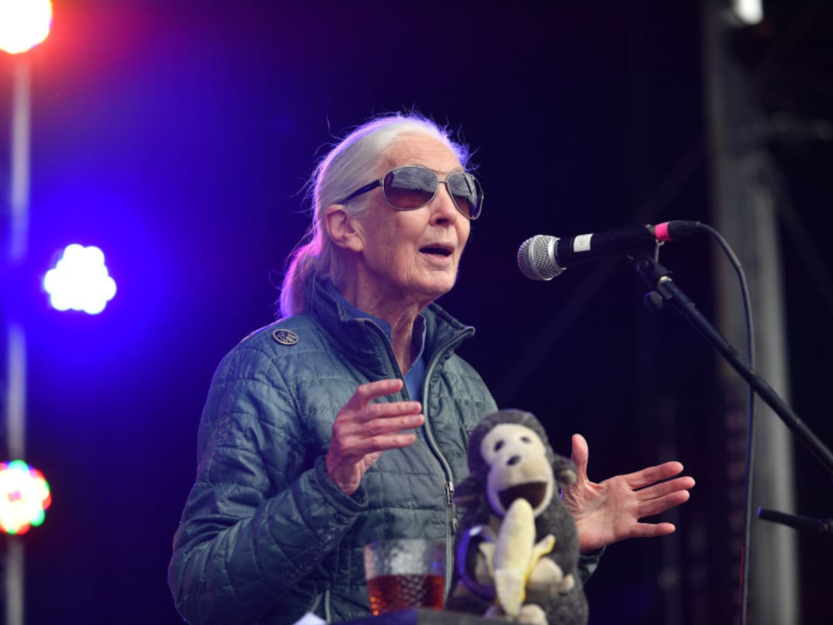 Roots & Shoots, programa de Jane Goodall que busca impulsar el cuidado del medioambiente