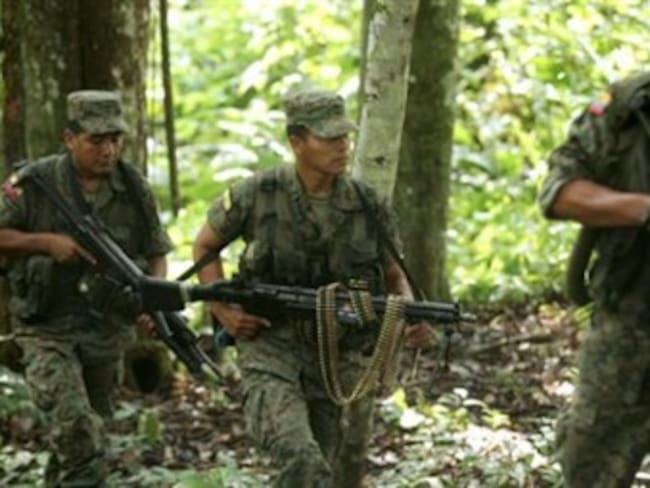 Colombia pedirá a Venezuela deportación de 10 presuntos guerrillero detenidos en la frontera