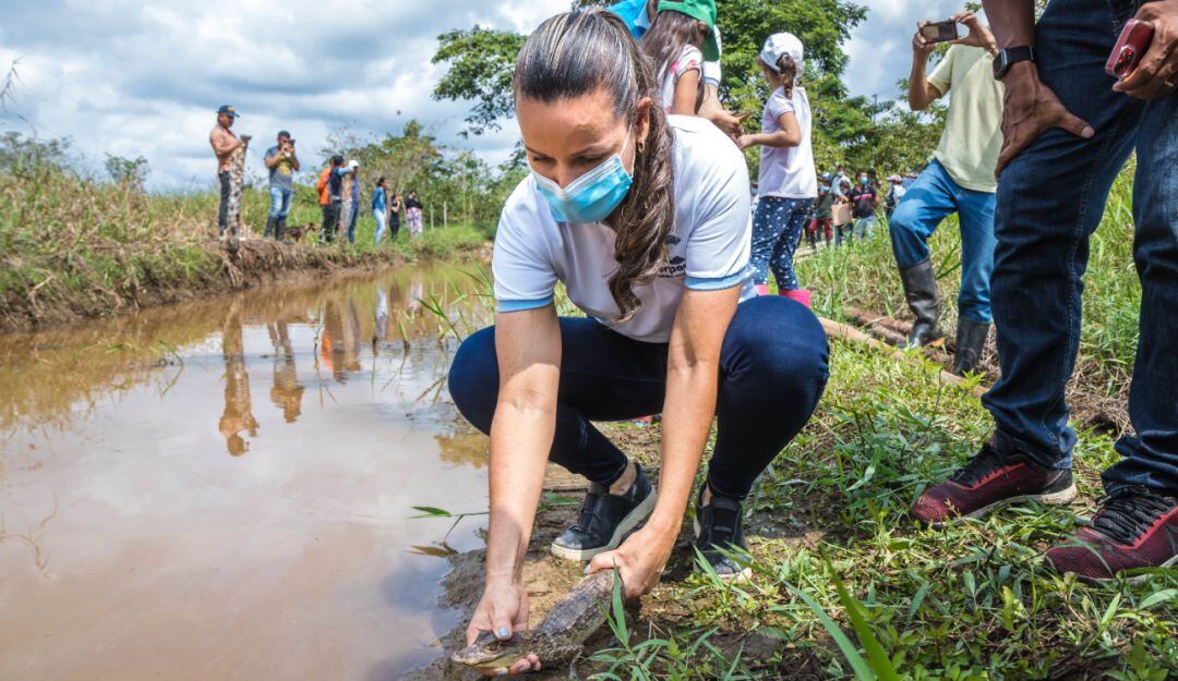 Proteccion de humedales y su riqueza biológica en Norte de Santander