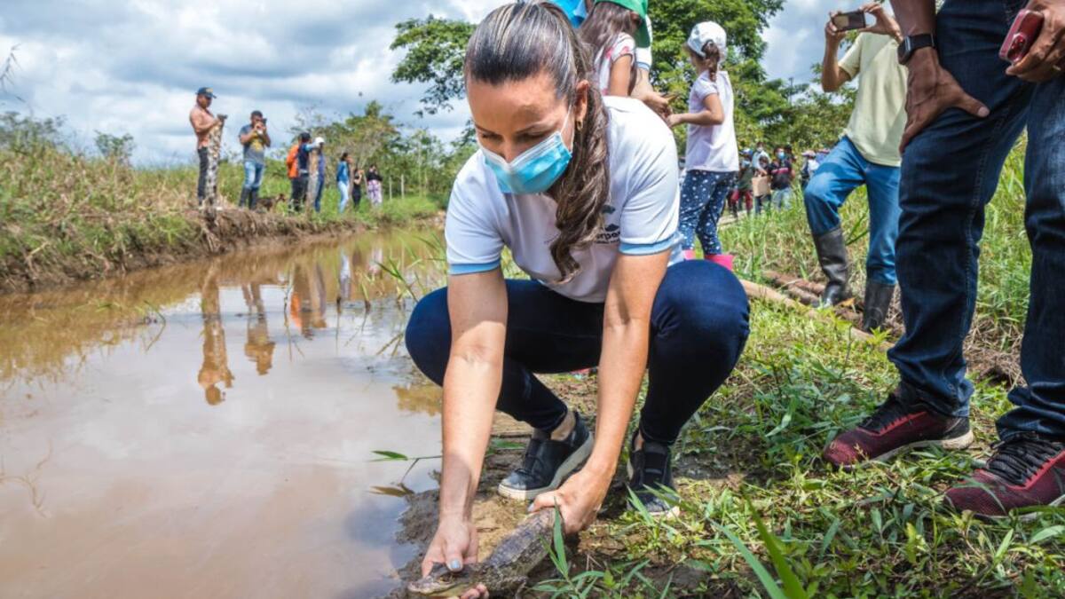 Apoyo campesino para conservar humedales en Norte de Santander