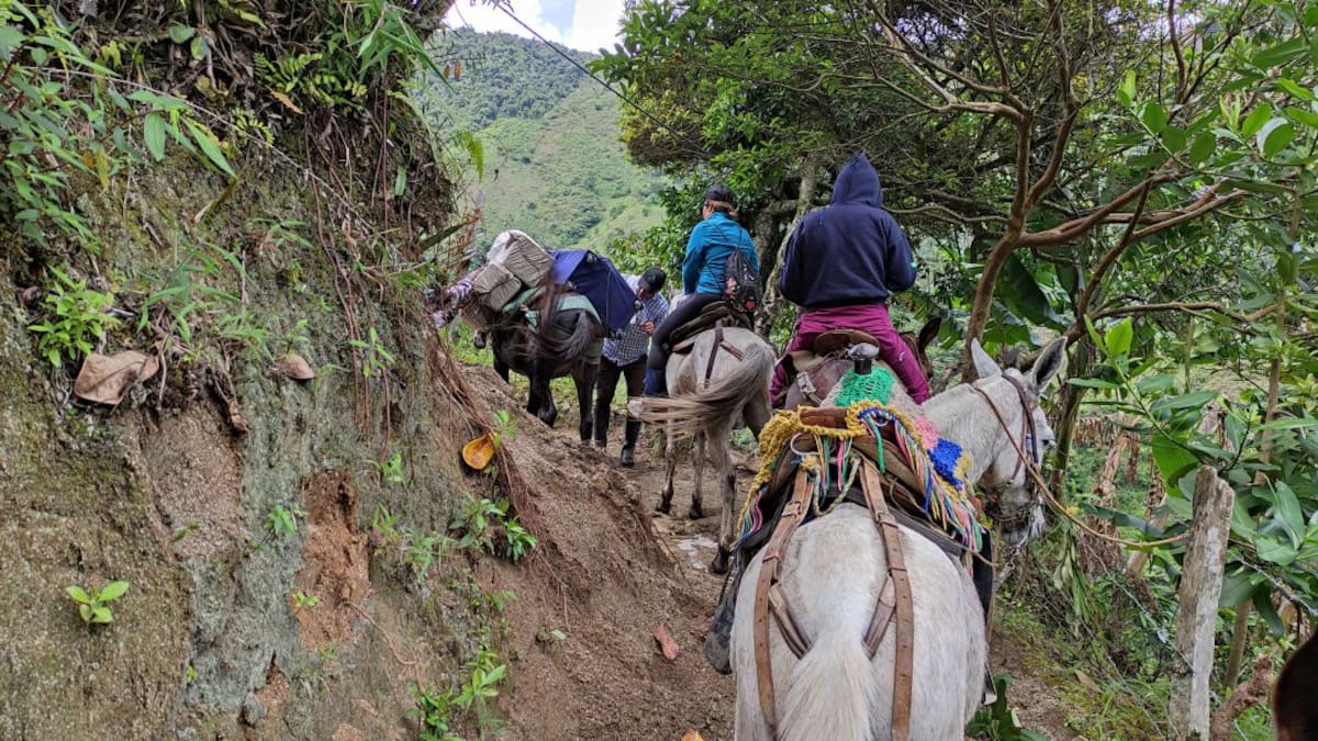 Una Colombia Sostenible llega a campesinos en más de 170 municipios