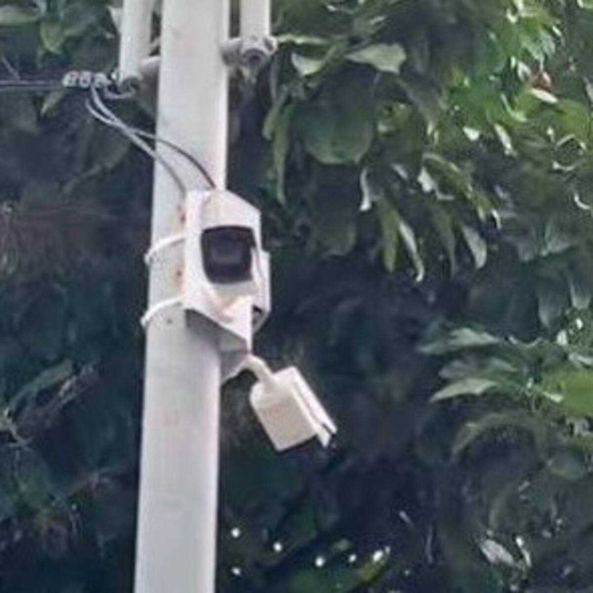 La Plata insiste en apoyo nacional para fortalecer la seguridad con un nuevo sistema de cámaras
