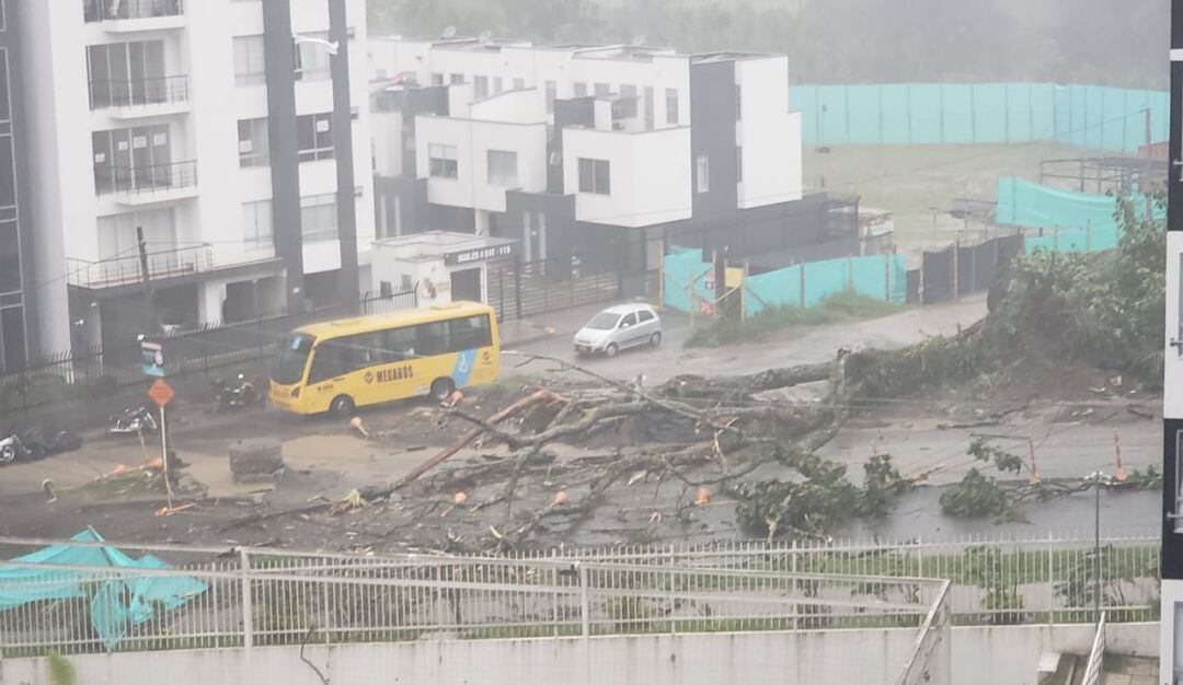 Suministrada Comunidad