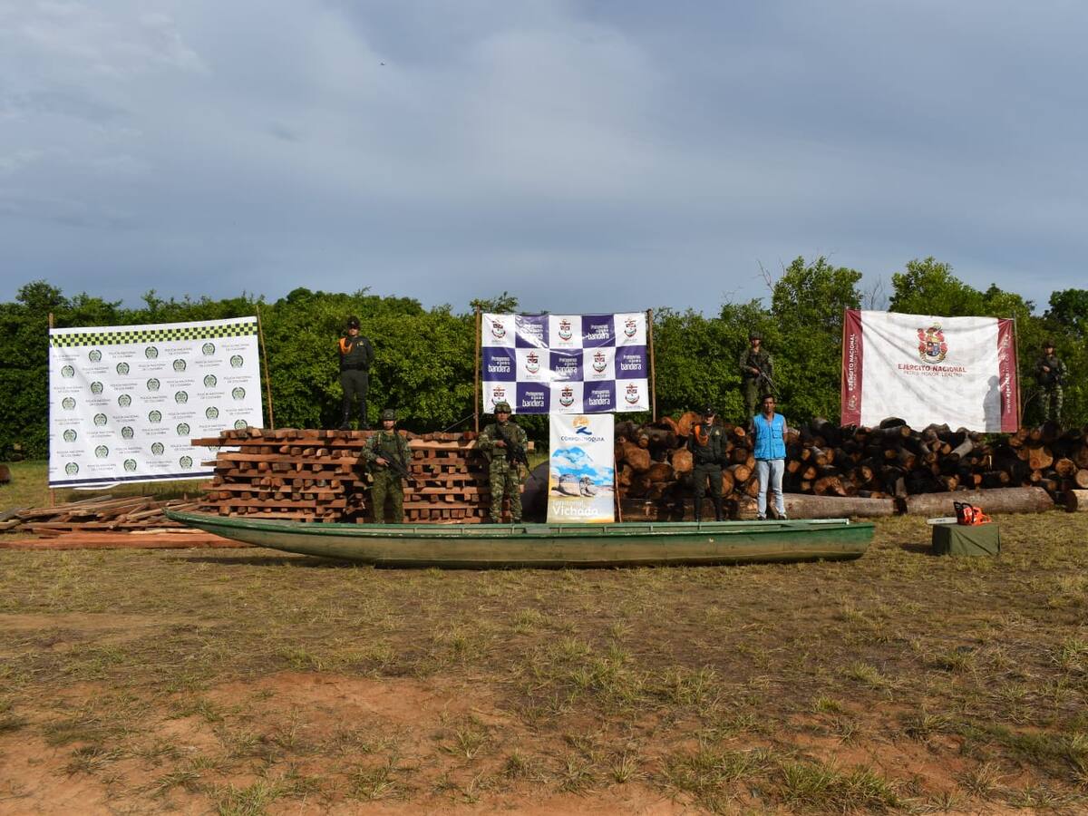 Autoridades incautan madera proveniente de deforestación ilegal en el Oriente colombiano
