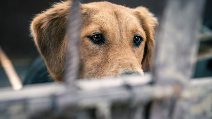 Javier Sarmiento, Alcalde encargado Bucaramanga
