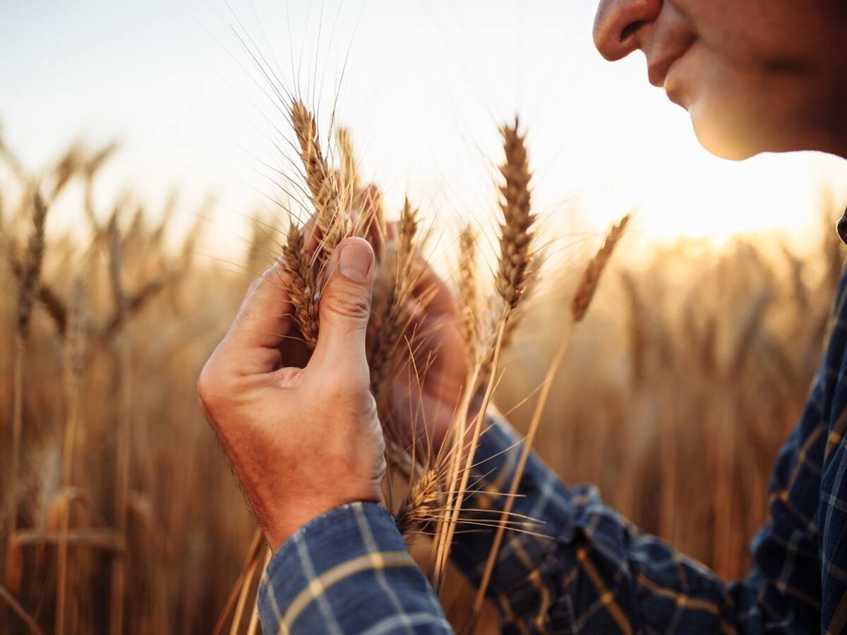 Método Buteyko: una respiración equilibrada