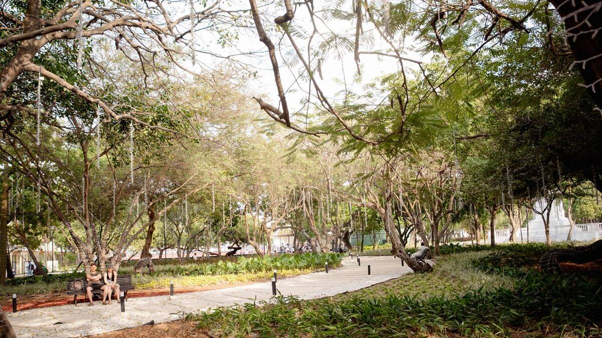 Avanza en Cartagena Política Pública de Educación Ambiental