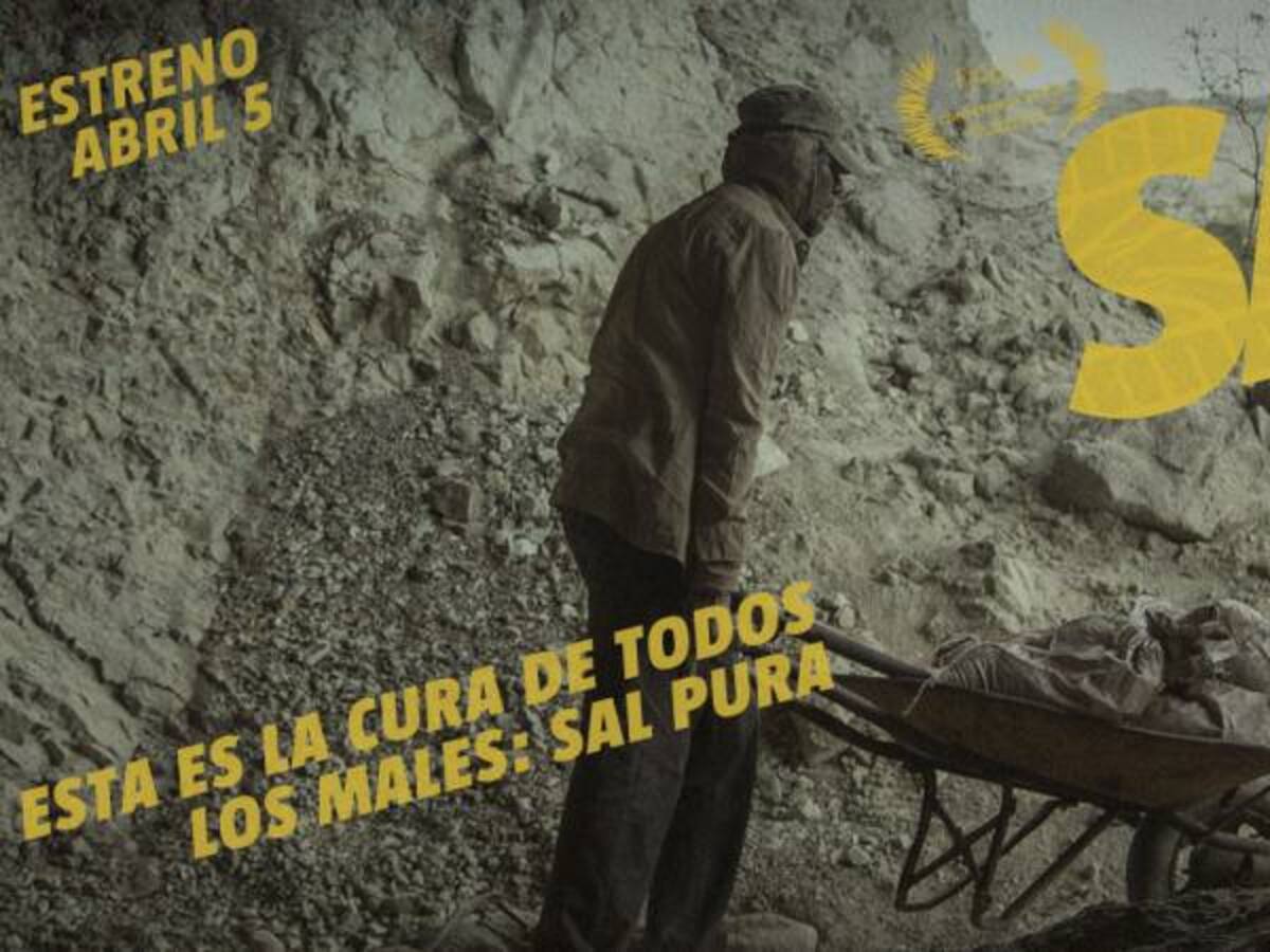 ‘Sal’, una película que cuenta una odisea