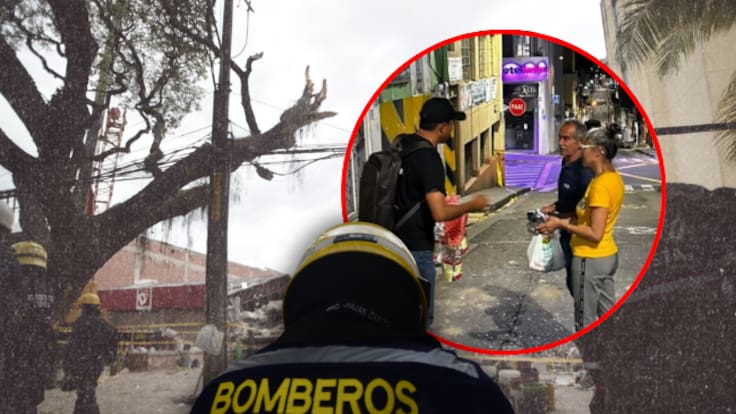 Restaurantes pueden apoyar en alimentación de damnificados por terremoto: así funciona la iniciativa