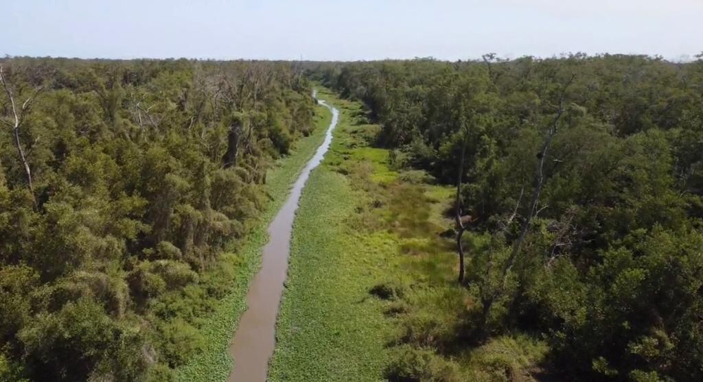 Gobierno Nacional intervendrá el caño Clarín Viejo para recuperar conexión con la Ciénaga Grande./ Corpamag