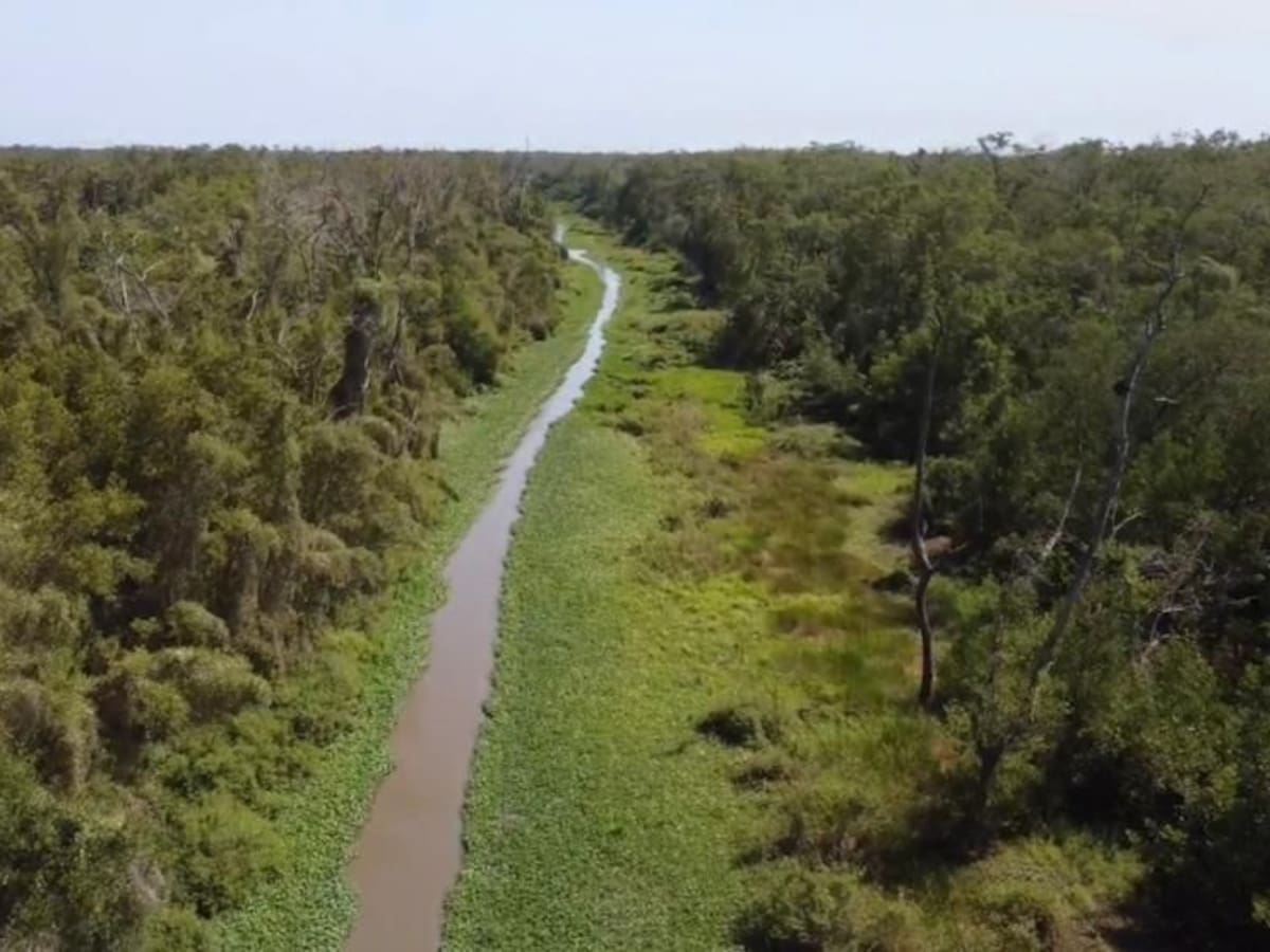 Gobierno Nacional intervendrá el caño Clarín Viejo para recuperar conexión con la Ciénaga Grande