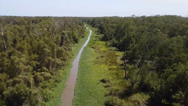 Gobierno Nacional intervendrá el caño Clarín Viejo para recuperar conexión con la Ciénaga Grande./ Corpamag