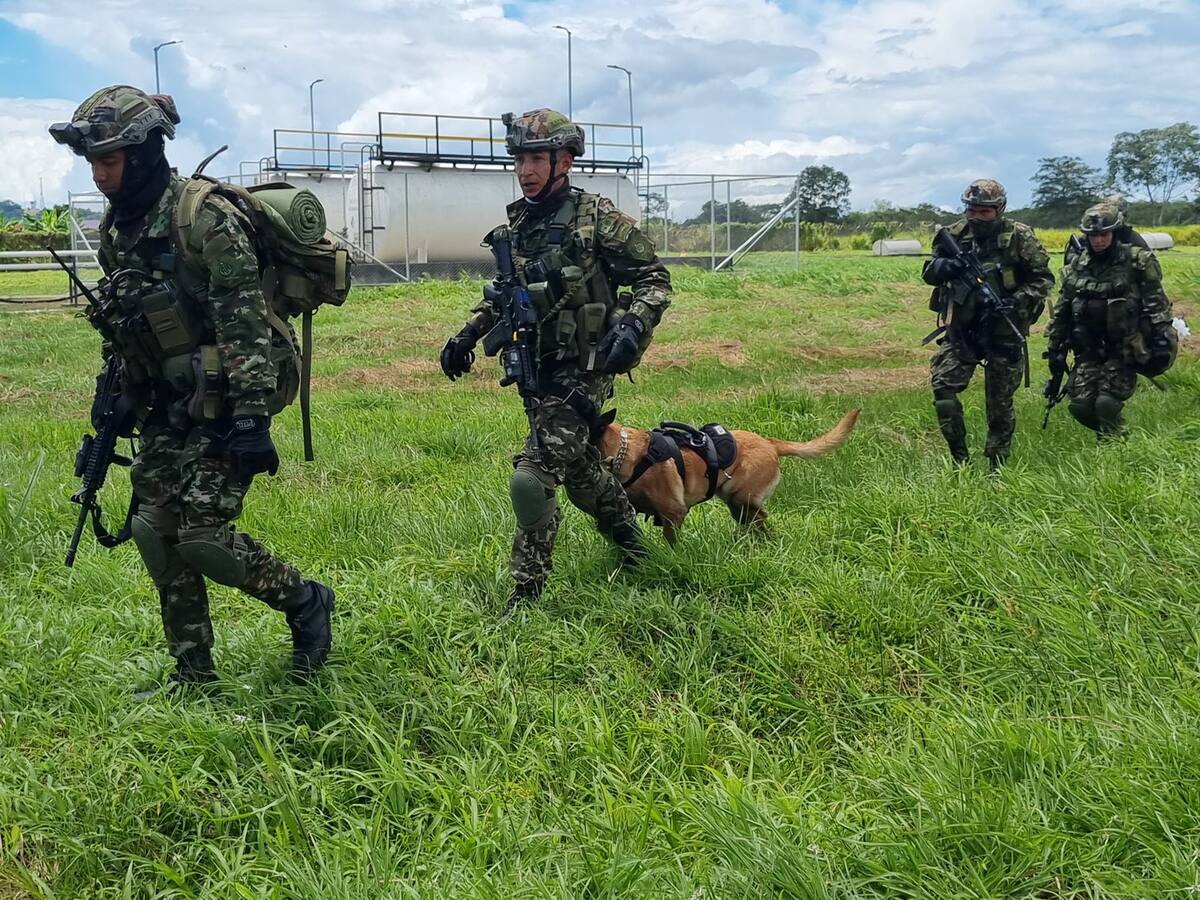 Despliegan operativos militares y policiales tras masacre en Padilla, Cauca