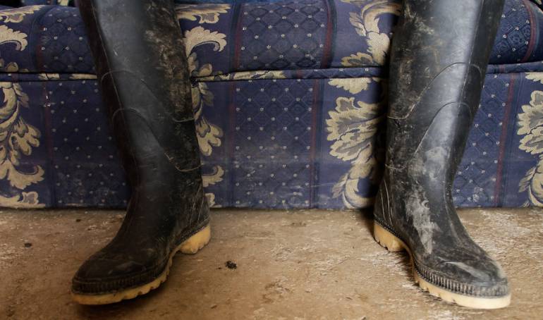 Imagen de referencia 