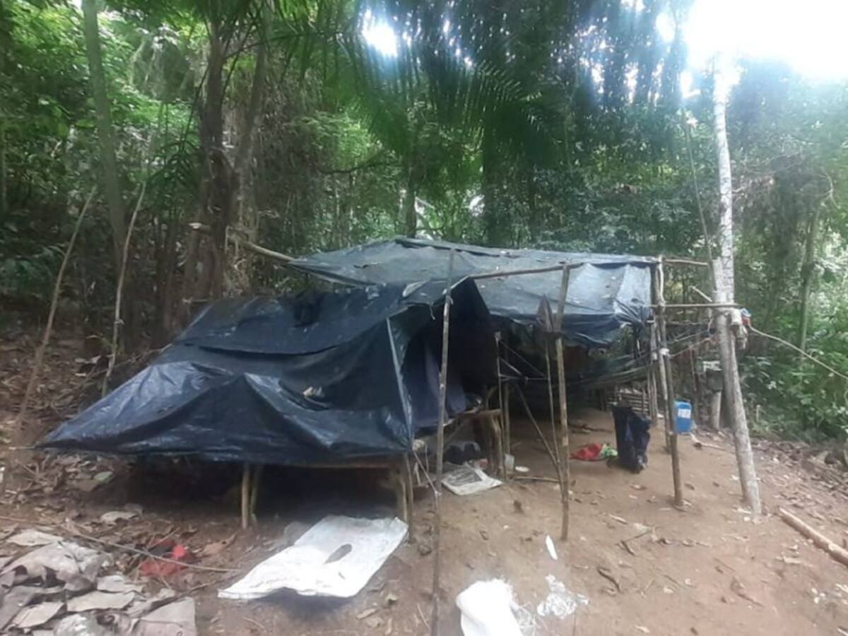 En zona boscosa de Victoria capturaron a tres personas por minería ilegal