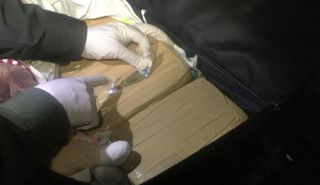 Marihuana incautada en la Terminal de Transportes de Manizales