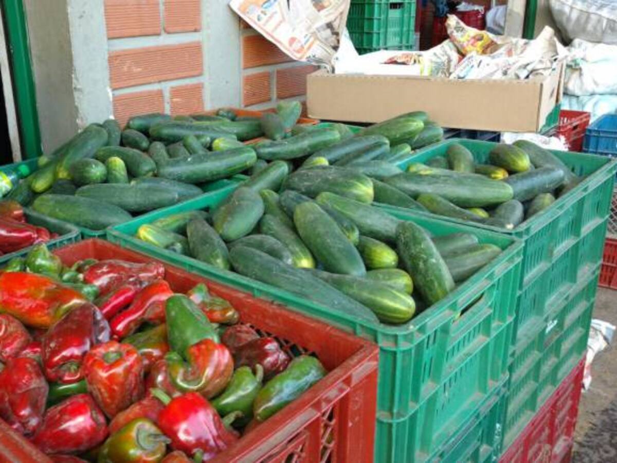 49.800 toneladas de alimentos se han perdido en Antioquia por El Niño