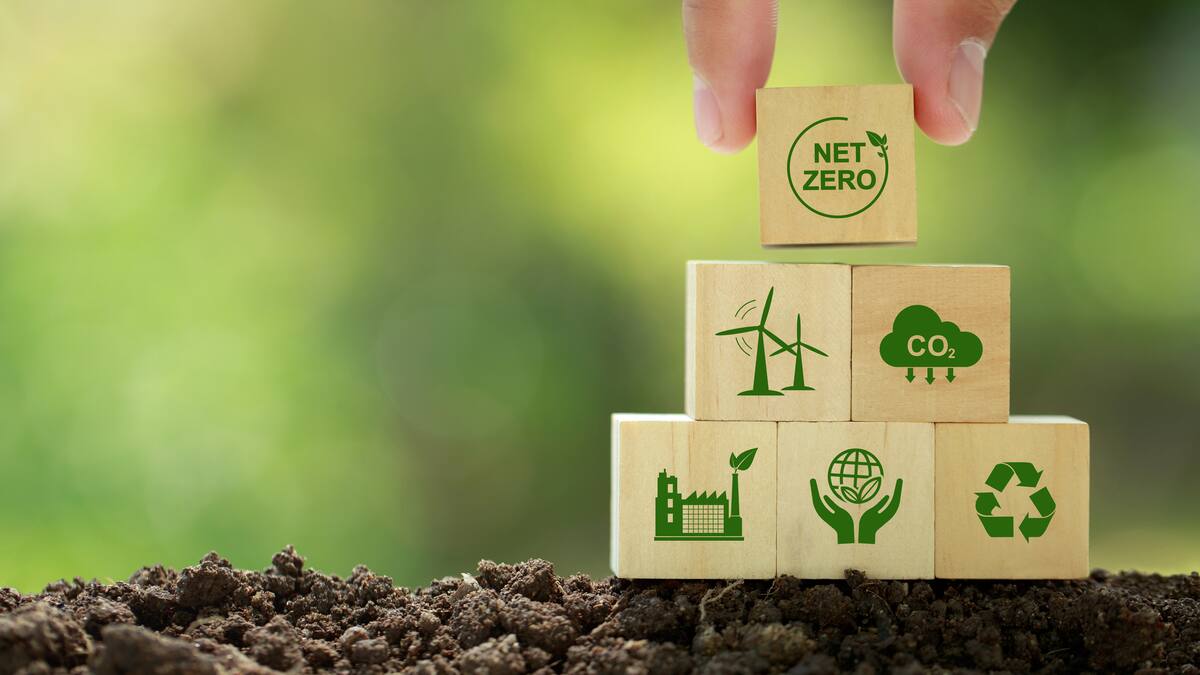 Acción climática a través de los mercados de carbono