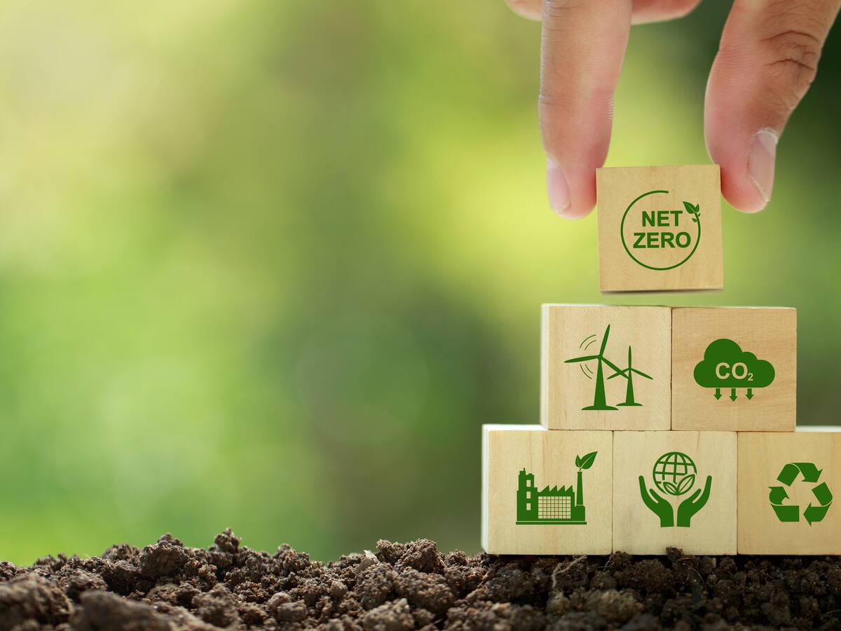 Acción climática a través de los mercados de carbono