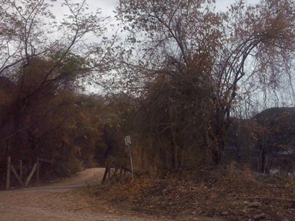 Incendio Forestal destruyó 55% de importante reserva Naturale en el Huila