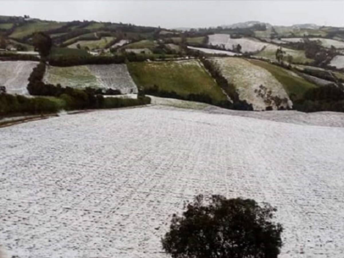 Cientos de familias resultaron afectadas tras granizada en Nariño