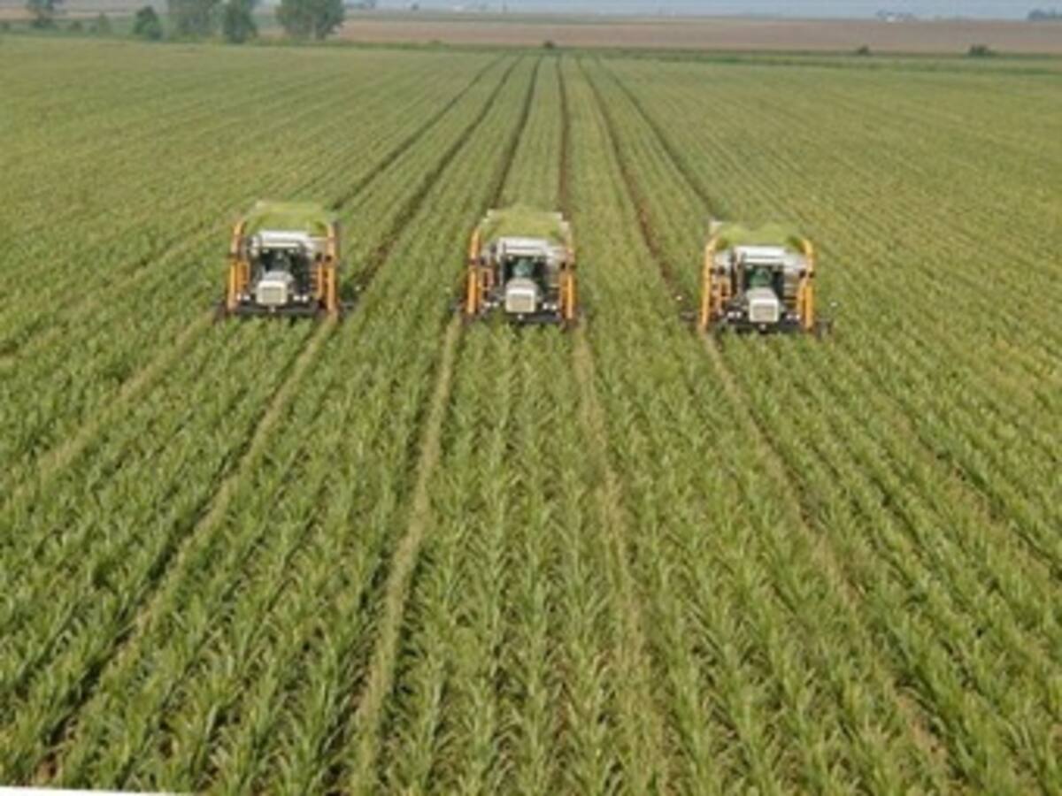 Presidente confía en que el Pacto Nacional Agrario sea la solución para el campo