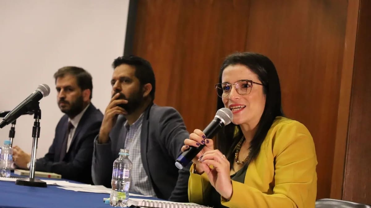 “En un año esperamos revisar los regímenes especiales de salud”: Martha Alfonso