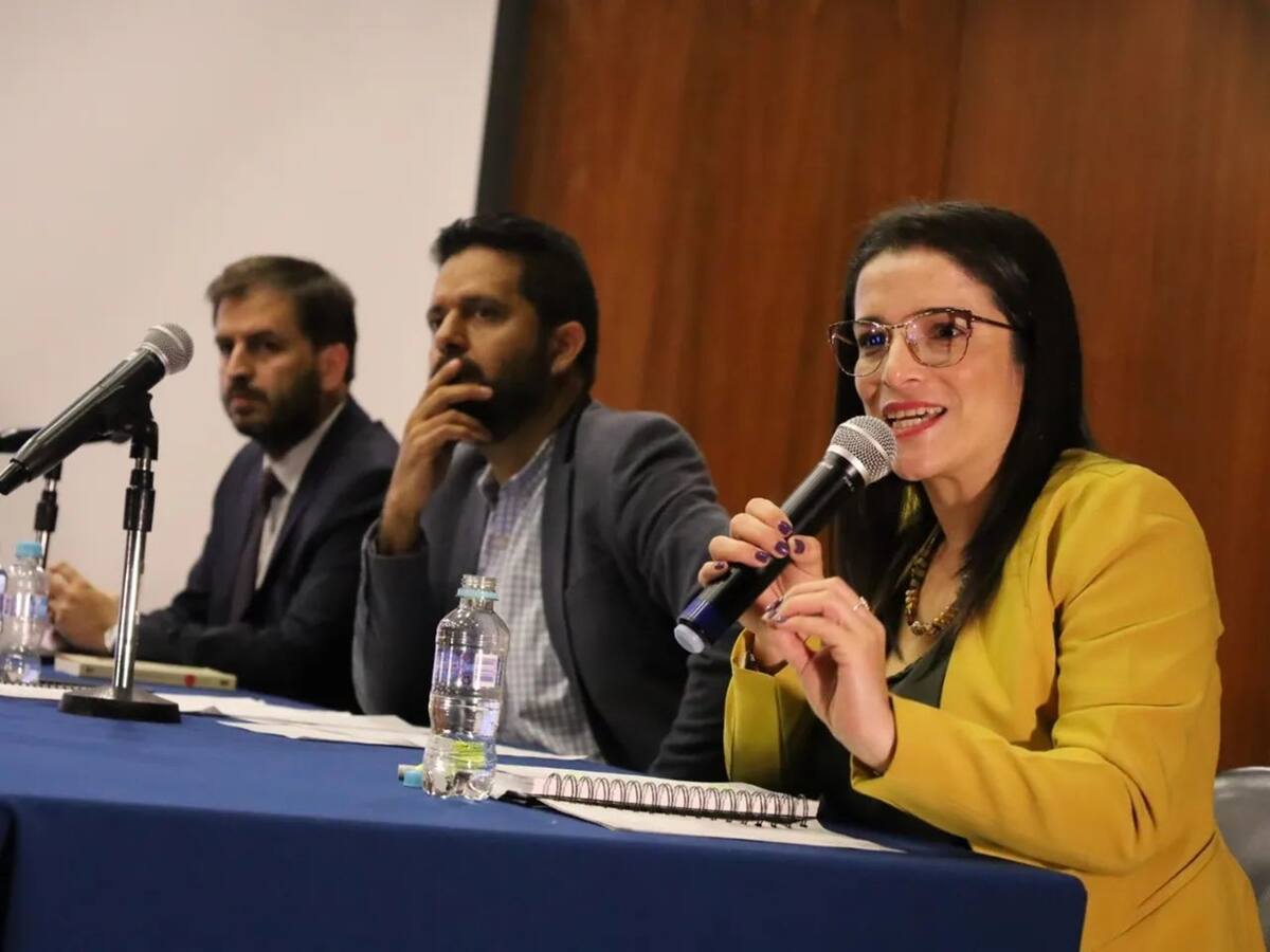 “Esperemos que de aquí al sábado esté aprobada la reforma pensional”: coordinadora ponente