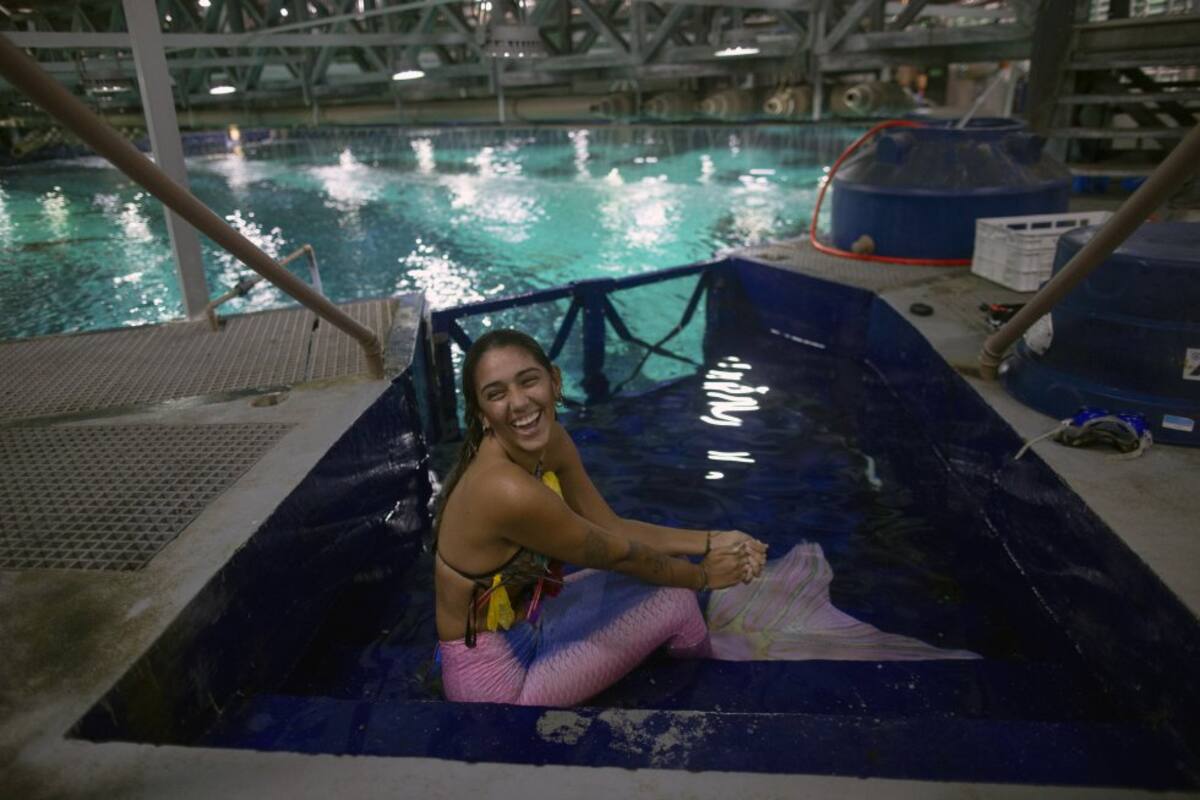 La idea de presentar una sirena con un mensaje educativo vino del equipo del Acuario. 