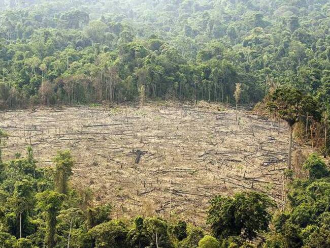 La deforestación rural es una amenaza urbana en Colombia