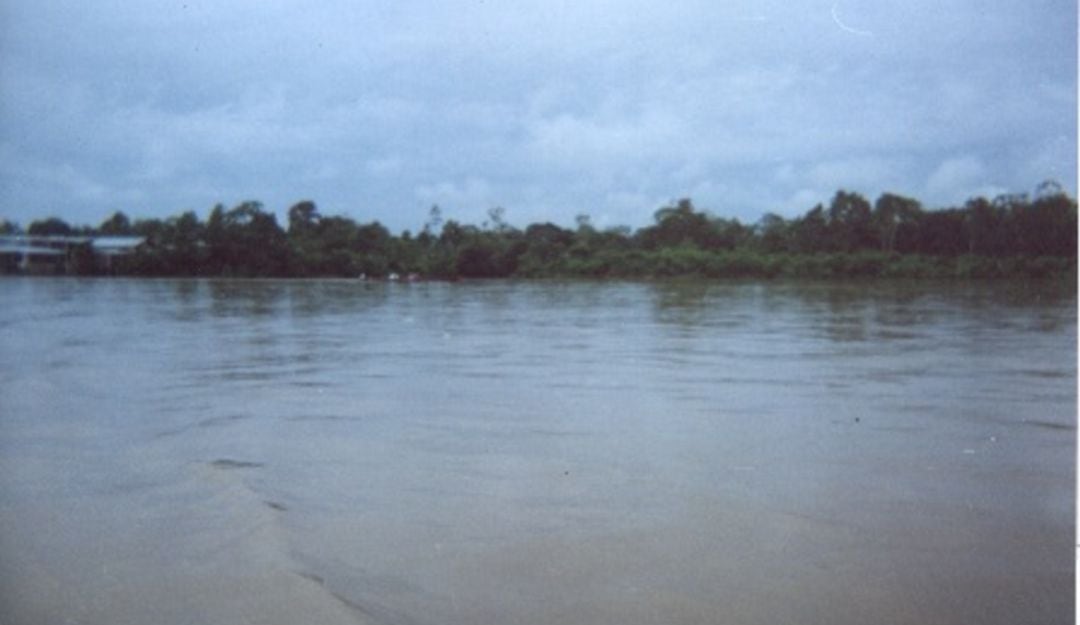 Mediante plan de contingencia, se espera sortear la situación de contaminación del agua y las especies acuícolas del rio Putumayo.