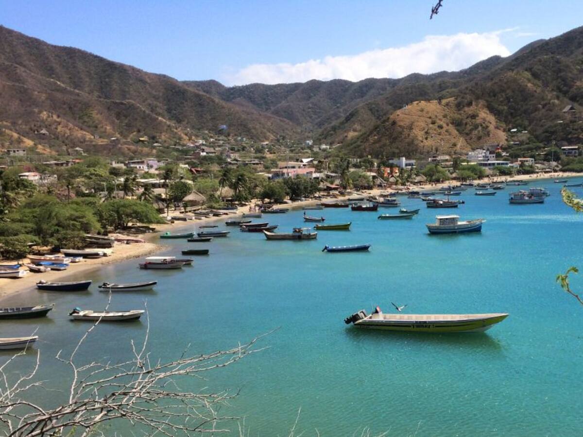 Un festival del pescado por internet proponen en Taganga