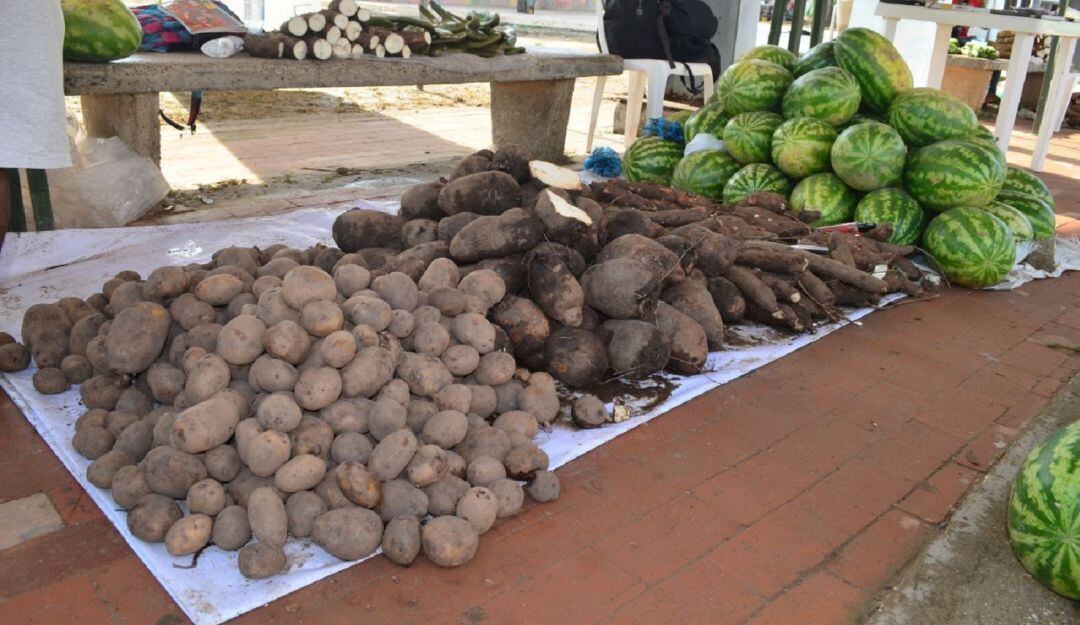 El evento se realizará en la cancha de Bonga Park