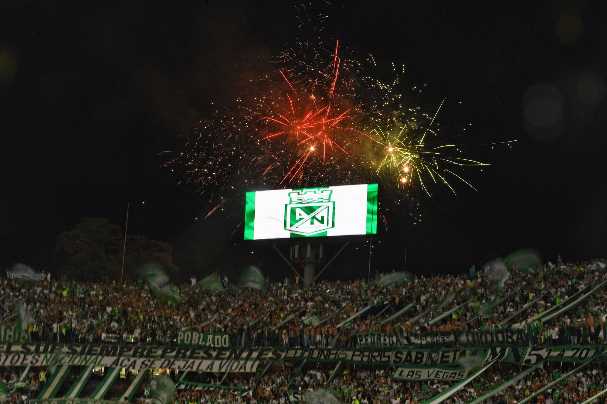 Hinchas Atlético Nacional. (Photo by JOAQUIN SARMIENTO/AFP via Getty Images)